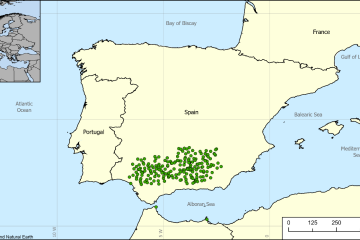 Active stations from SAIH del Guadalquivir integrated in EFAS in Feb. 2024